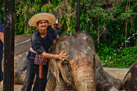 Bangkok Elephant Park: Meio dia de cuidados com elefantesHD Elephant Care com serviço de busca no hotel e traslado de ida e volta (particular)