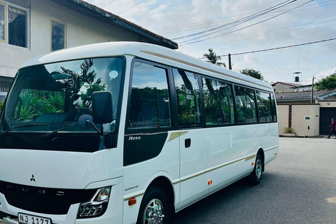 Galle: Private Colombo/Airport Transfer with Turtle Stop