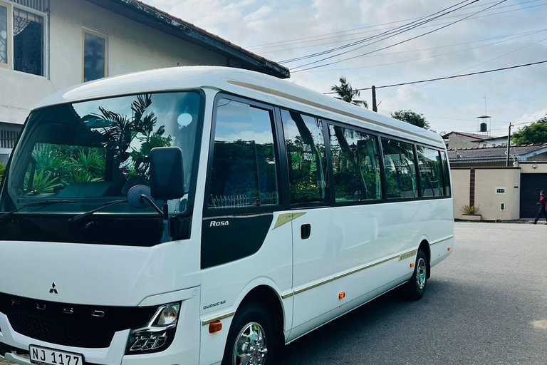 Galle: Private Colombo/Airport Transfer with Turtle Stop