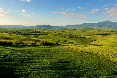 Firenze: Tour privato del Chianti, Montalcino e Montepulciano