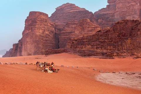 Wadi Rum: Horseback Ride to Khazali Canyon & Sand Dune