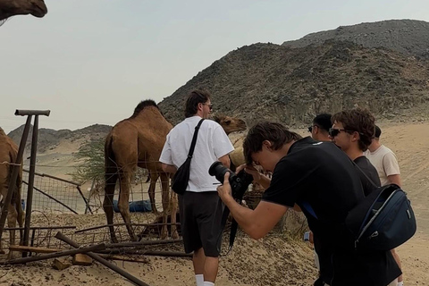 From Jeddah: Desert Tour with Camel Farm Visit & Sunset Tea