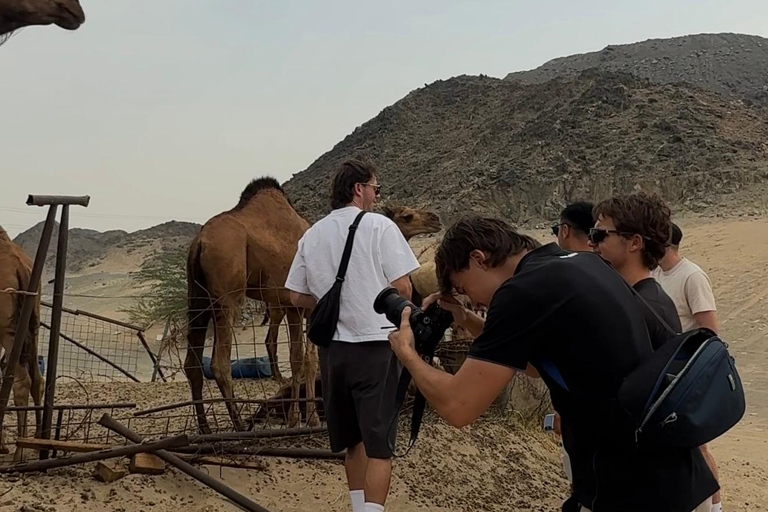 From Jeddah: Desert Tour with Camel Farm Visit & Sunset Tea
