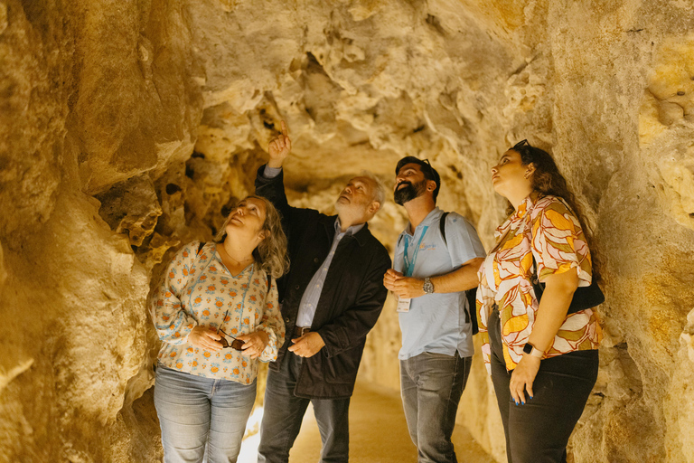 Sintra: Biglietto d'ingresso per Quinta da Regaleira e tour guidatoTour in portoghese