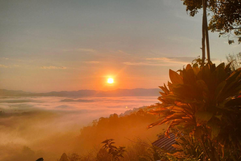 Khao Lak : Mer de brouillard sur une colline avec HomeStay One Night