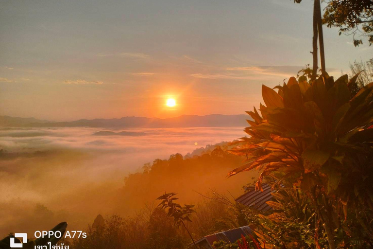 Khao Lak : Mer de brouillard sur une colline avec HomeStay One Night