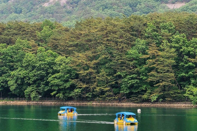 Säsongsbetonad dagsutflykt till Pocheon med upplevelse av äppelodlingAvgår från Dongdaemun History &amp; Culture Park Station Ex