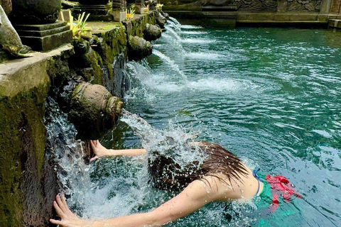 Ubud: Private Half-Day Tour Rice Terrace, Temple & Waterfall Private Half-Day Tour (With Entrance Tickets)
