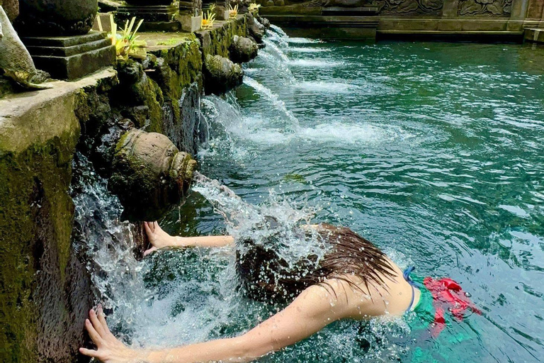 Ubud: Private Half-Day Tour Rice Terrace, Temple & Waterfall Private Half-Day Tour (With Entrance Tickets)