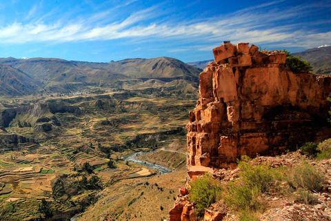 Depuis Arequipa : Circuit 2D du Canyon de Colca avec arrivée à Puno