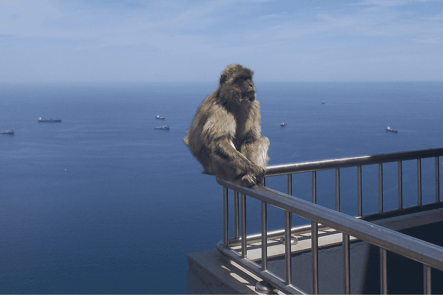 Gibraltar shopping: Desde Málaga y la Costa del Sol