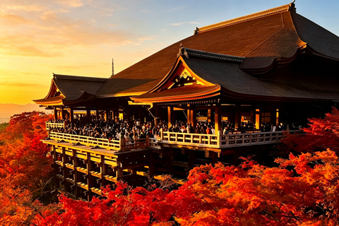 Osaka: Kiyomizu, Fushimi Inari, Nara & Gion Private Sightseeing Tours