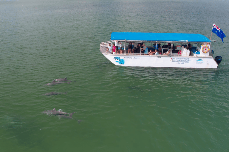 Koombana Bay: Dolphin Eco Cruise