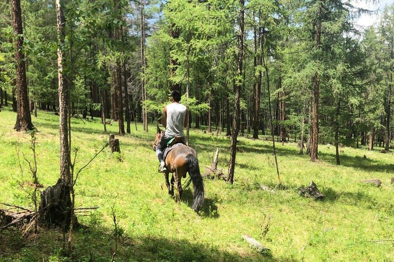 Horseback Riding Tour to Turtle Rock & Aryabal Brief Introduction to Mongol Horse