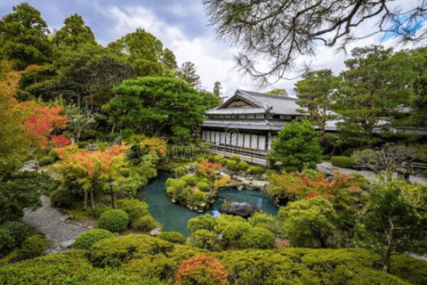 From Osaka: Osaka Private Customized Tour With English Guide Osaka : Osaka Private Tour With English Driver