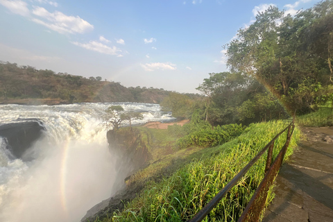 3-Day Best of Uganda Big5 Safari Tour in Murchison Falls NP