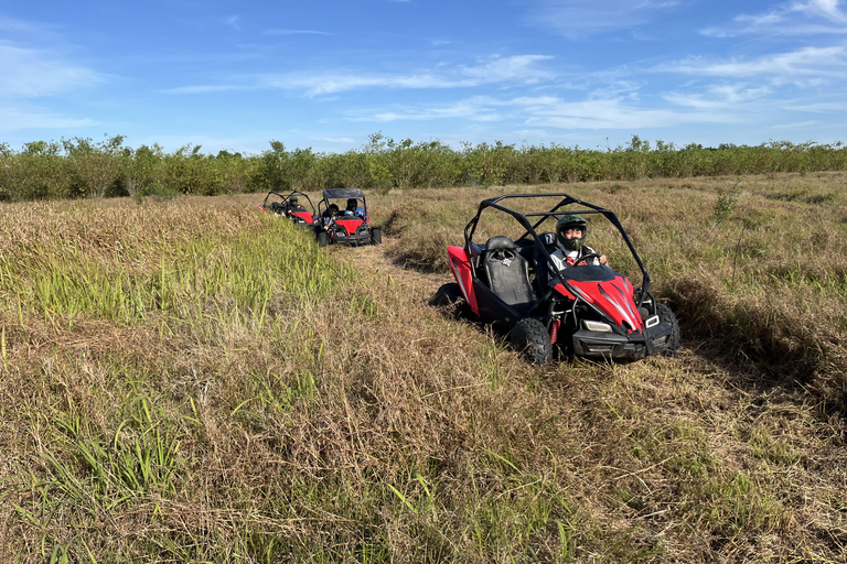 Fort Meade Aventuras en buggyAventura de 45 minutos por una sola pista