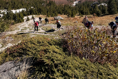 Valbona to Theth: 3-Day Hike with The Wanderers