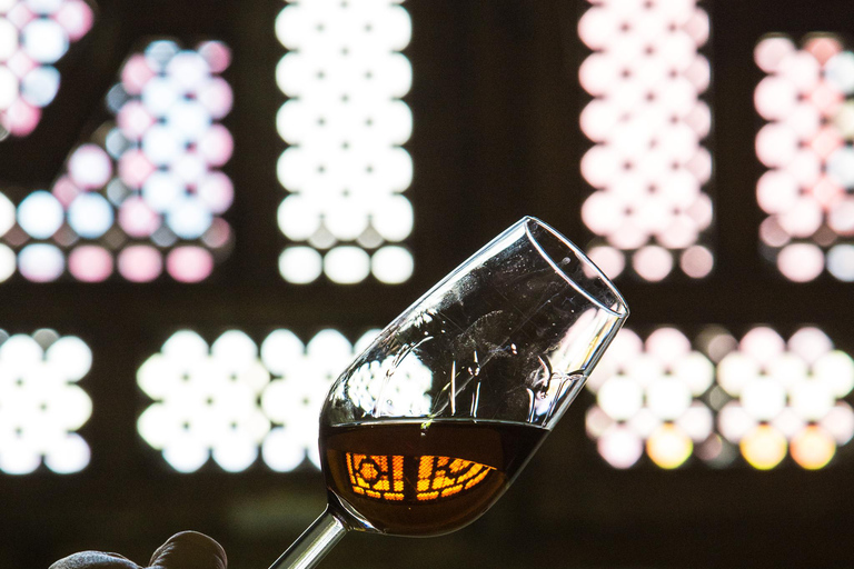 Jerez City Guided Tour and Winery Visit