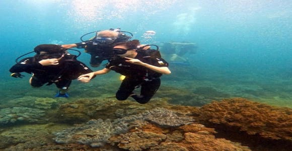 Hoi An snorkeling by speedboat at Cham Island