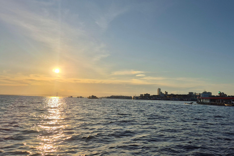 Manaus: Private Amazon Sunset and Night Tour by Speedboat