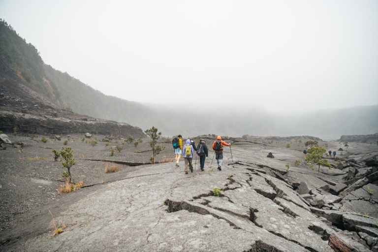 Big Island: Volcanoes National Park Gruppen- oder PrivatwanderungGruppenreise