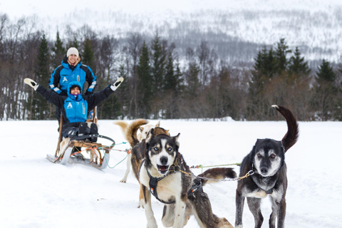 Tromsø: Husky Sledding Adventure with Soup & Transfers