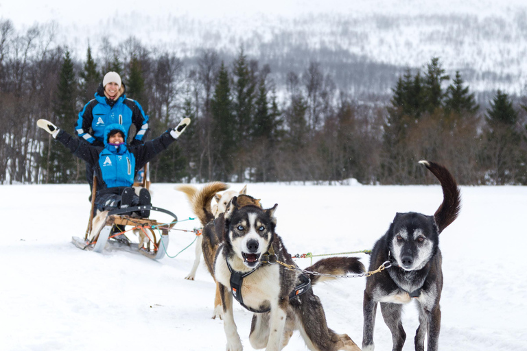 Tromsø: Husky Sledding Adventure with Soup & Transfers