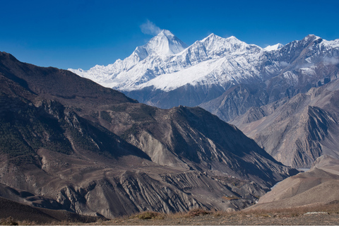 Annapurna Odyssey: The Ultimate Circuit Experience Trekking Support Package