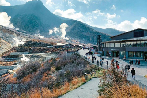 Tokyo: Mount Fuji Nagano Nikko - Guided Tour