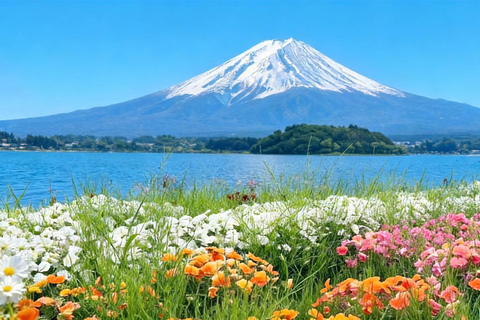 Tokyo: Mt Fuji & Arakurayama& Oshino Hakkai&Lake Kawaguchiko 8:00 AM | Shinjuku Station, West Exit