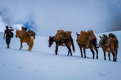 &quot;Onthulling van de Himalaya: 12-daagse Jomolhari trektocht&quot;.