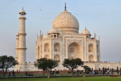 Wycieczka do Tadż Mahal o wschodzie słońca z New DelhiWycieczka Sunrise Taj Mahal z Nowego Delhi