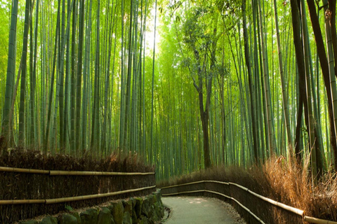 Kyoto Full-Day Private Tour&English Speaking Guide-Vehicle