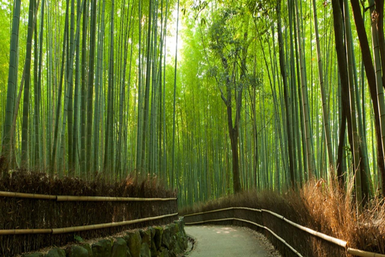 Kyoto Full-Day Private Tour&English Speaking Guide-Vehicle