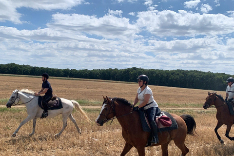 Tour della Valle della Loira: una galoppata reale attraverso il tempoTour di un giorno in sella a cavallo alla scoperta dei castelli della Valle della Loira