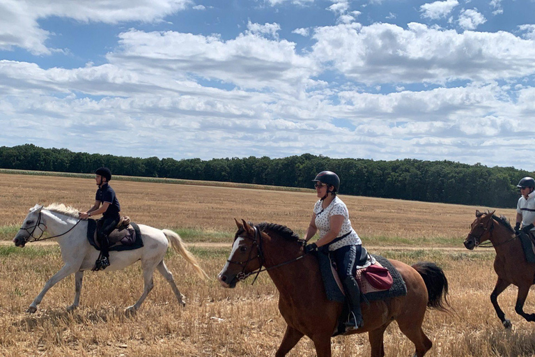 Tour della Valle della Loira: una galoppata reale attraverso il tempoTour di un giorno in sella a cavallo alla scoperta dei castelli della Valle della Loira