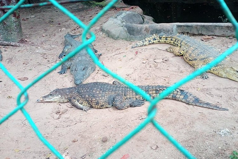 Mombasa: Visita a Mamba Village Crocodiles Feeding Experience.