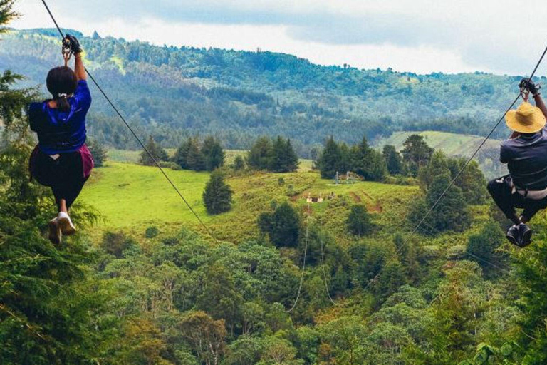 Punta Cana: Domitai Park Zipline, Buggy & Cenote Tour