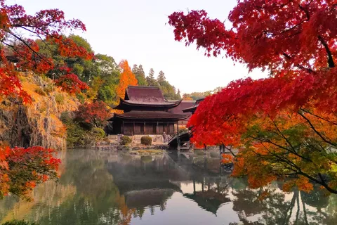 From Nagoya: Enakyo, Magome-juku & Tsumago-juku 1D Bus Tour
