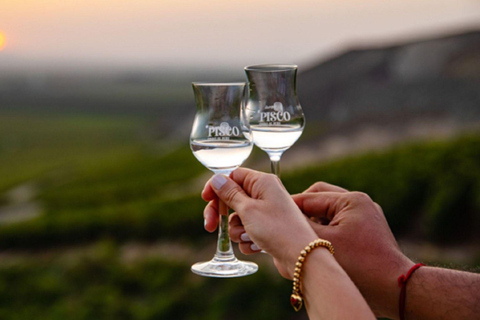 De Ica: Vinho, pisco e experiência de buggy nas dunas