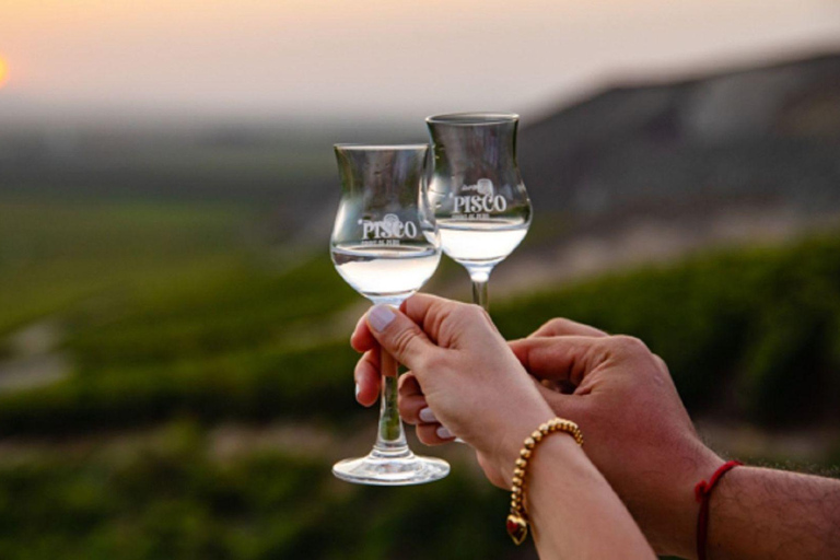 De Ica: Vinho, pisco e experiência de buggy nas dunas