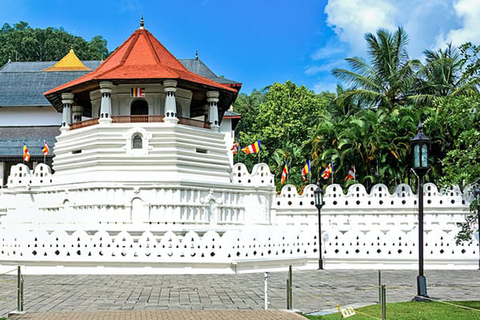 De : Kandy para Ambuluwawa Tower Tour de Tuk Tuk