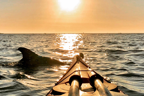 Tierra Verde FL: Coastal Kayaking Tour in Shell Key Single Kayak