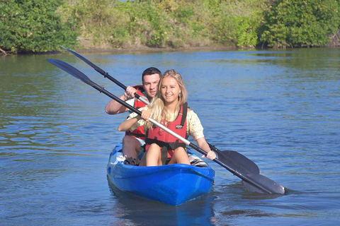 Negombo: Guided Kayaking Tour in the Lagoon