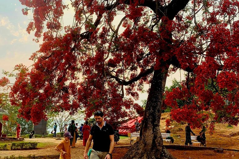 Best seller Historical Discovery Tour of Dien Bien Phu Historical Discovery Tour of Dien Bien Phu by motorbike