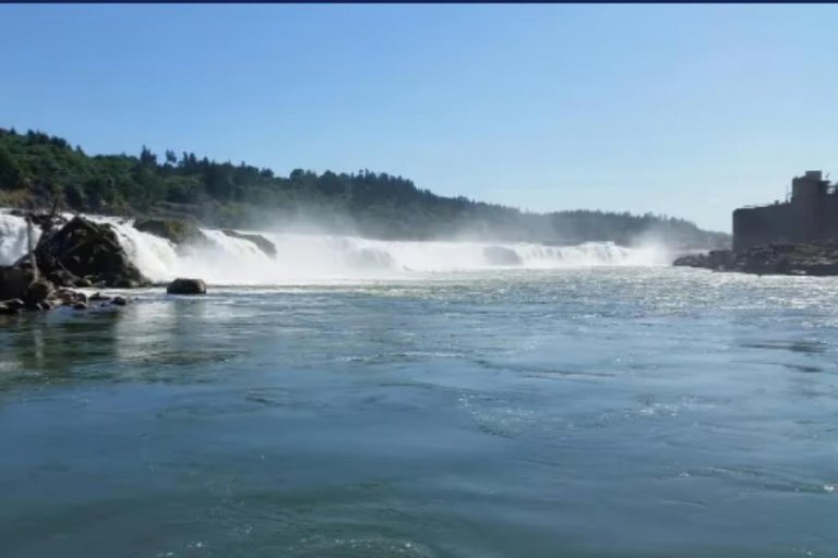 Portland: Private Pontoon Cruise on the Willamette River