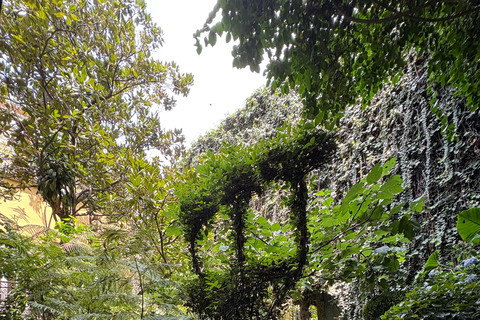 Mexico City: Roma and Condesa Neighborhoods Walking Tour