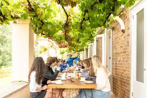 Visita à quinta de mel de Bowral, prova de mel e chá da manhã