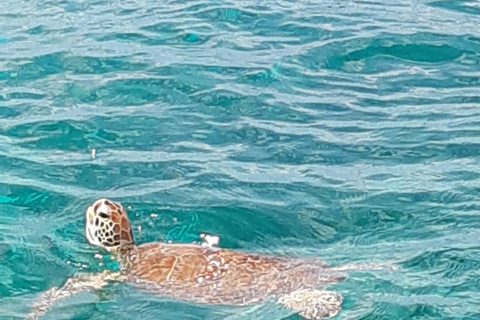 Saint-Martin: Private boat trip with skipper